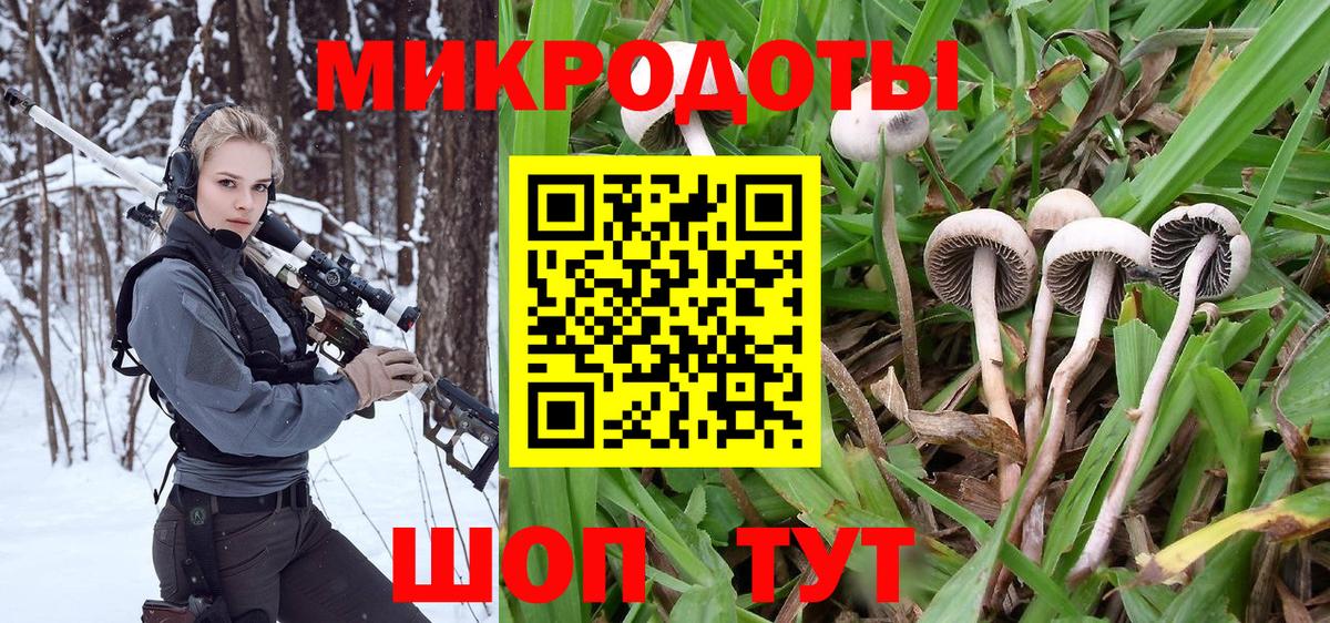 Псилоцибиновые грибы Psilocybe Пушкино