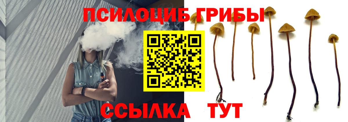 Галлюциногенные грибы GOLDEN TEACHER  Вход с VPN  Пушкино 