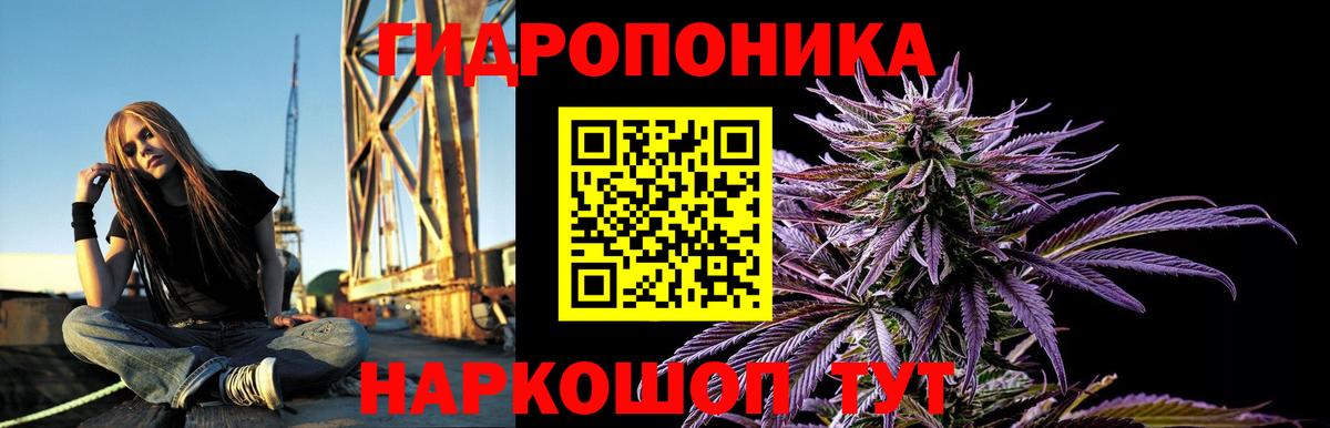 МАРИХУАНА OG Kush  Вход с VPN  Пушкино  Бошки марихуана VHQ 