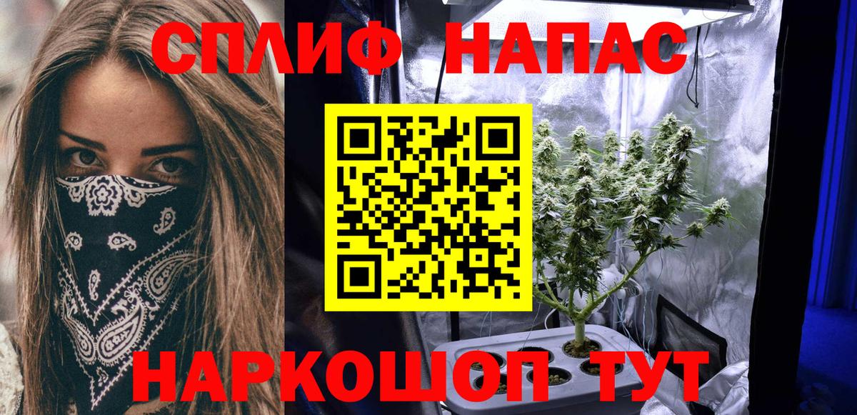 Бошки марихуана гибрид Пушкино